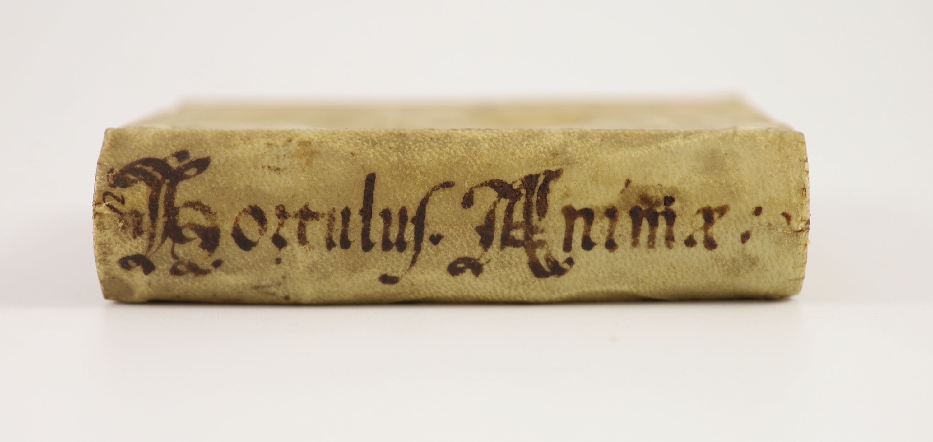 Hortulus Aminae ad usum Ecclesiae Romanae & Catholicae